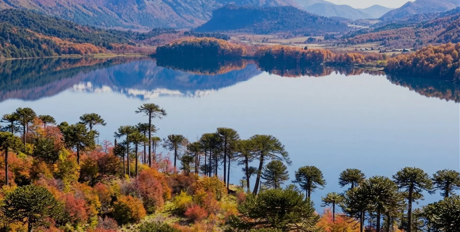 Bosque de araucarias con colores de otoño a orillas de un lago en la Patagonia andina, con montañas al fondo