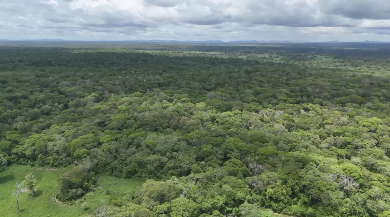 Vista aérea del Bosque Chiquitano, con el dosel continuo del bosque seco y un claro de pastizal en primer plano