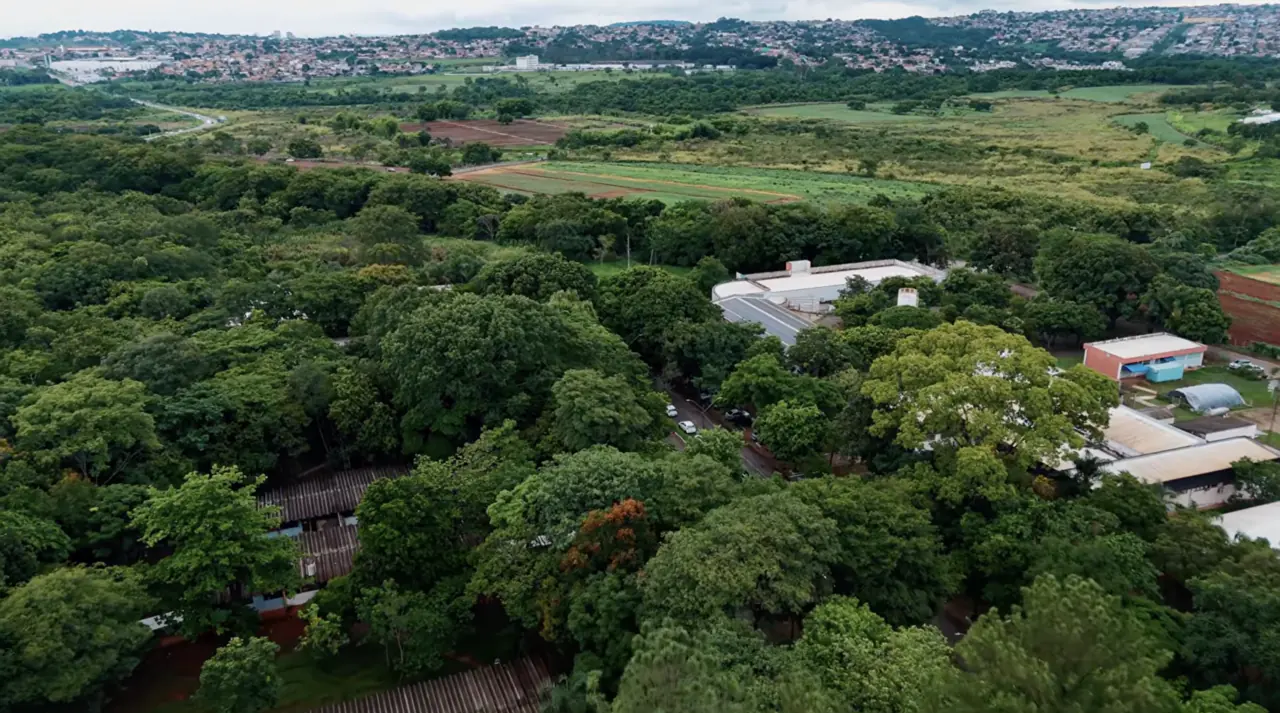 Vista aérea del campus de la Universidade Federal de Goiás, entre bosque y parcelas de ensayo del Cerrado
