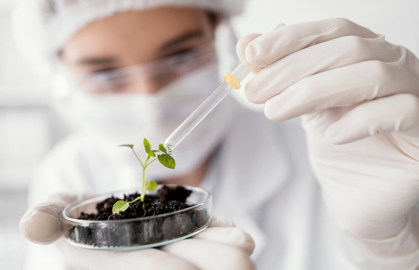 iSeeds